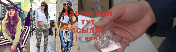 прущие грибы Белокуриха