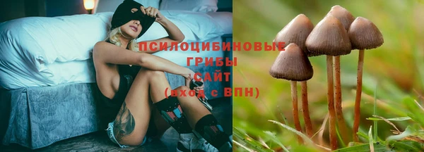 PSILOCYBIN Беломорск