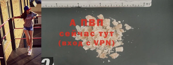 прущие грибы Белокуриха