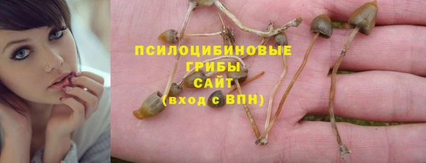 PSILOCYBIN Беломорск