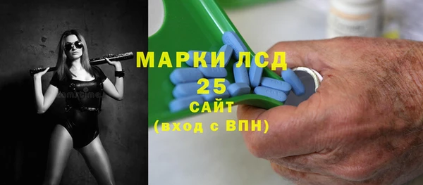 прущие грибы Белокуриха
