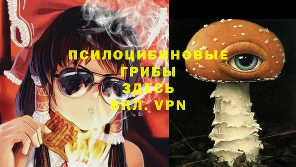 PSILOCYBIN Беломорск