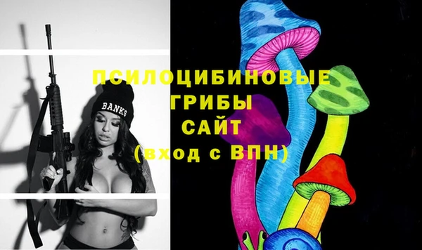 PSILOCYBIN Беломорск