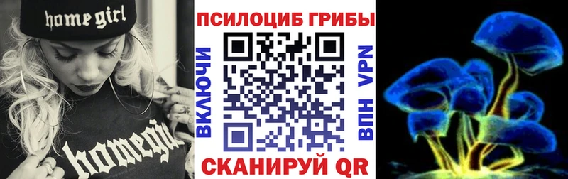 МЕГА вход Шахунья Псилоцибиновые грибы мухоморы наркотики